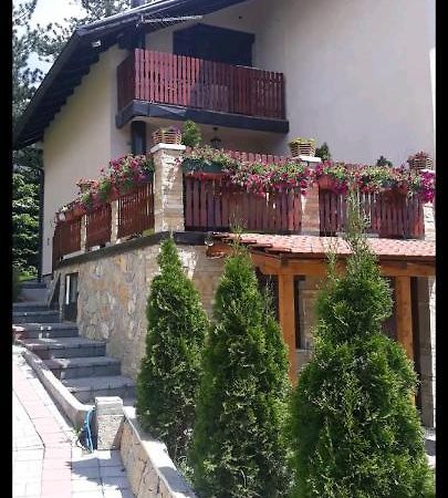 Apartment Niva Zlatibor Eksteriør billede